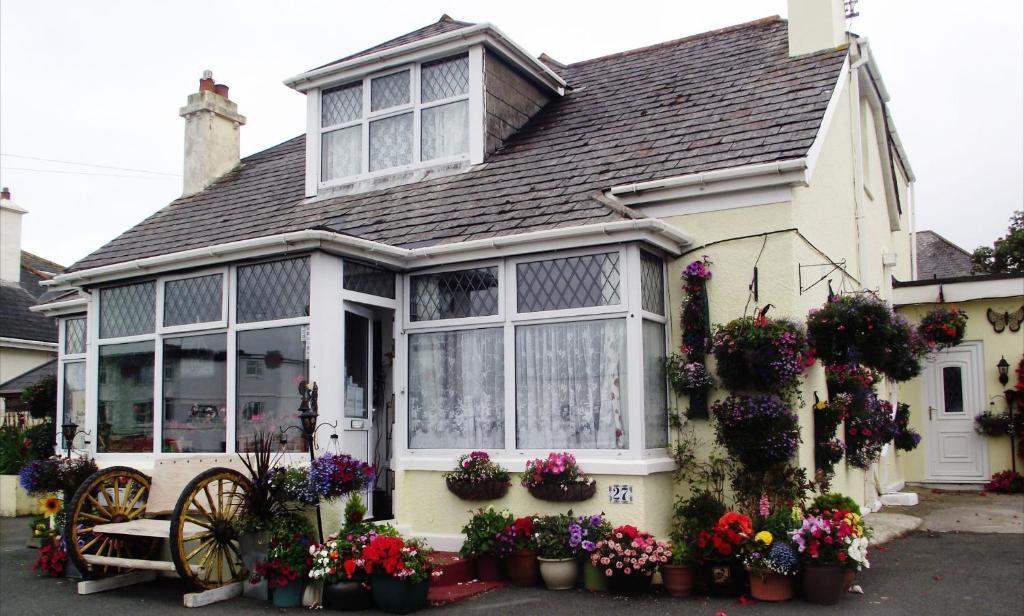 Jasmine House Bed and Breakfast New Quay Exterior foto